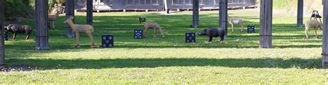 Pinellas Outdoor Shooting Range